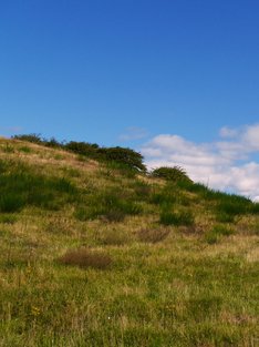 Hiddensee